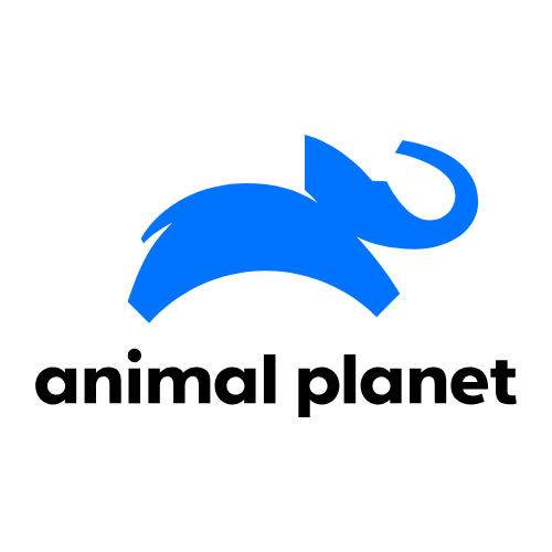 Animal Planet Logo White Background