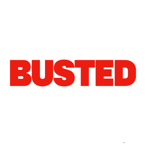 Busted Logo White Background